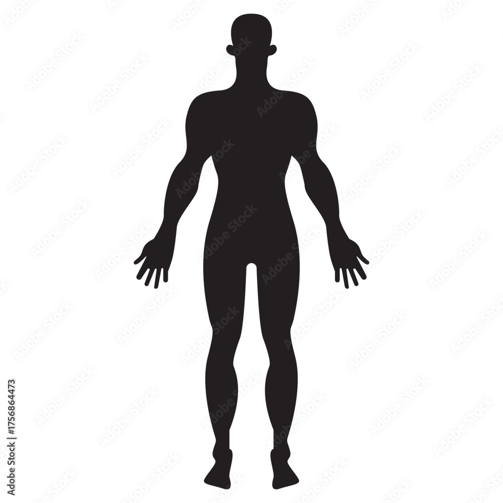 Fototapeta premium Man body silhouette. Human figure icon. Bare and naked slim healthy people vector. eps 10