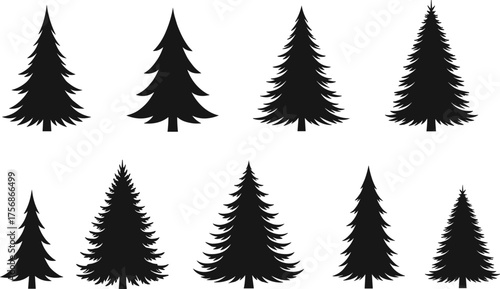 Set of black pine tree silhouettes, evergreen forest vector illustration, coniferous spruce shapes for logo, nature, Christmas, and winter design