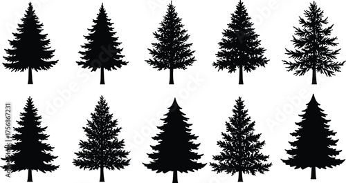 Pine tree silhouette collection, detailed evergreen conifer tree vector set for forest, nature, outdoor, winter, and Christmas design themes