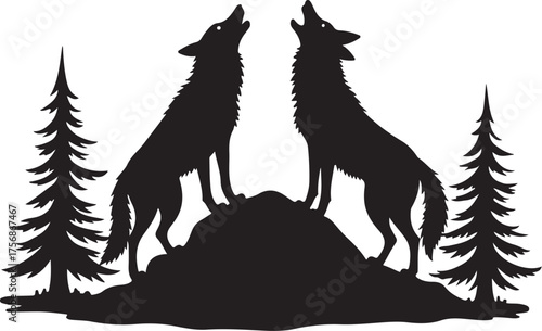 Two black wolves howling on a hill with pine trees