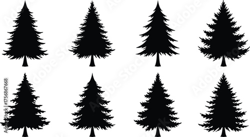 Set of evergreen pine tree silhouettes, black vector forest icons, fir and spruce tree shapes, nature illustration for design elements
