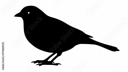Elegant silhouette of a songbird, perfect for nature themes and minimalistic designs, originally a scalable vector graphic