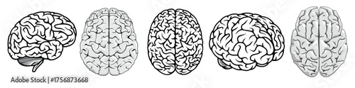 black and white cartoon human brains vector illustration