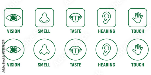 Human senses icon set. Five human senses editable stroke outline icons set.