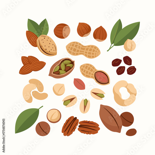 A delightful assortment of various nuts and seeds presented in a pleasing arrangement.