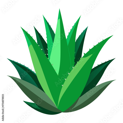 Fresh Aloe Vera Plant Isolated on Transparent Background | Natural Herbal Skincare Ingredient.