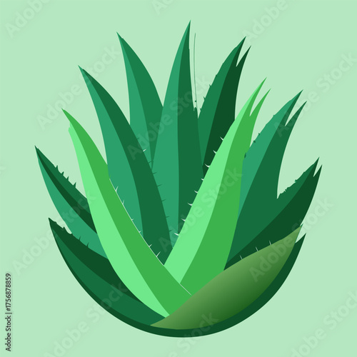 Fresh Aloe Vera Plant Isolated on Transparent Background | Natural Herbal Skincare Ingredient.