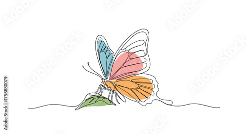 Delicate line art butterfly with pastel colored wings emerging from a leaf on a white background representing freedom and transformation