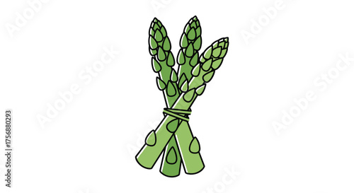 Healthy green asparagus stalks tied with natural twine ready for cooking delicious meals and fresh salads