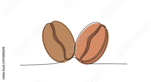 Two roasted coffee beans close together on a white background with subtle shadows and line art