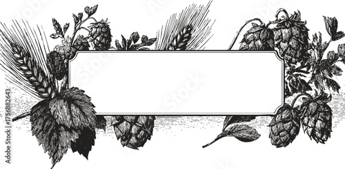 Detailed pencil draw frame with hops and barley. Vector illustration for craft beer labels, brewery branding, or organic beverage packaging.