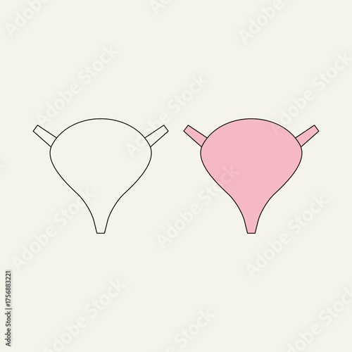 bladder. internal organs. health theme. vector illustration