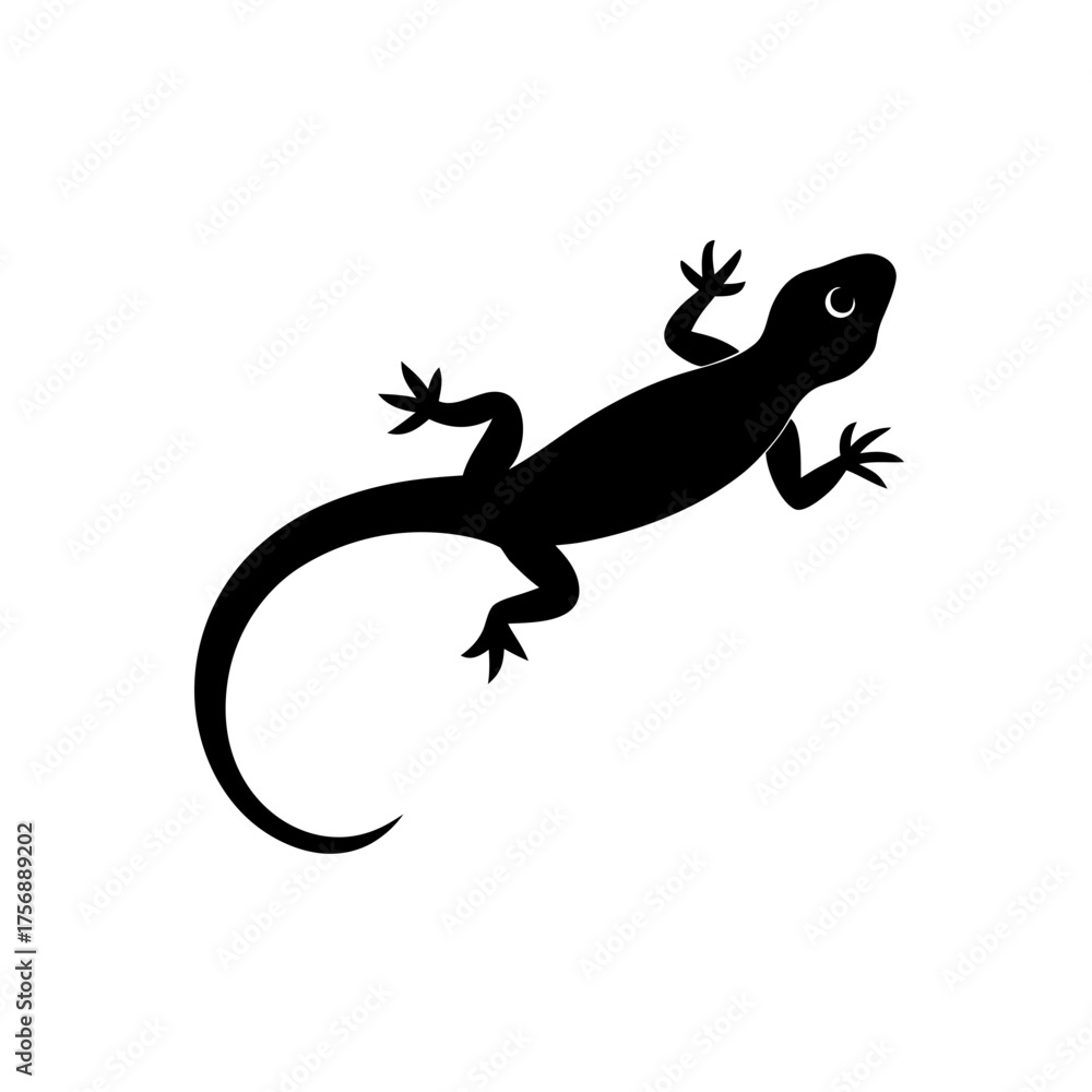 Fototapeta premium lizard on a white background