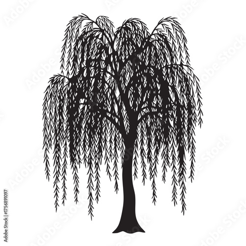 Black silhouette of a weeping willow tree, featuring long, drooping branches and a distinct, elegant form, isolated on a white background