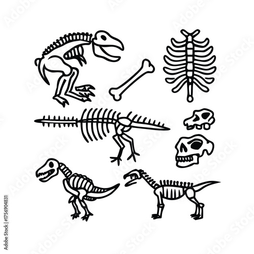 Monochrome Doodle Style T-Rex, Skull, and Bone Illustrations