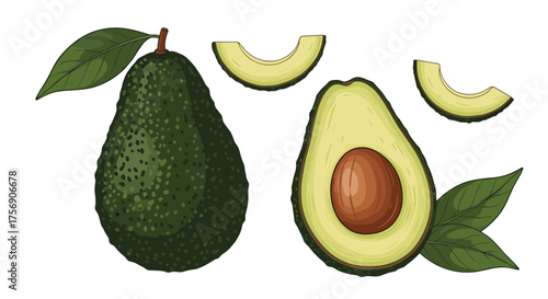 A ripe green avocado with a smooth textured skin and a slice cut revealing its seed and creamy flesh is surrounded by leafy green garnishes and crescent moon shaped slices of the fruit.