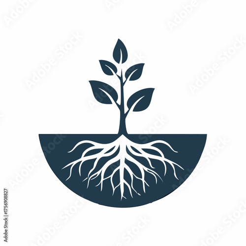 Botanical emblem depicting a young tree with visible roots, a minimalist design element