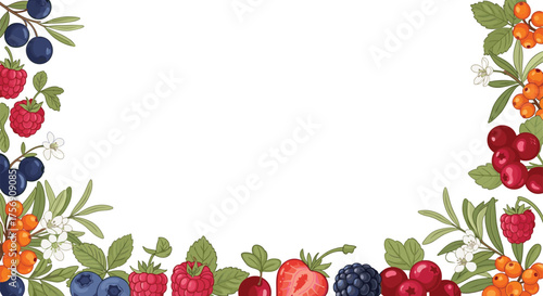 A vibrant and colorful assortment of fresh berries and fruit displayed in a delightful border.