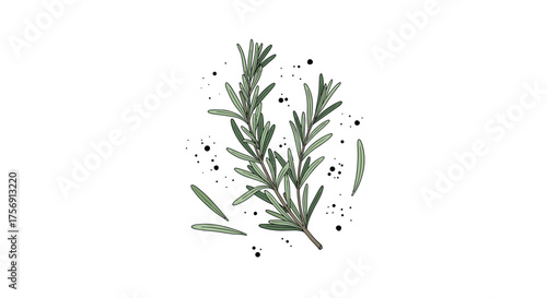 Fresh rosemary sprigs with scattered pepper flakes on a white background.