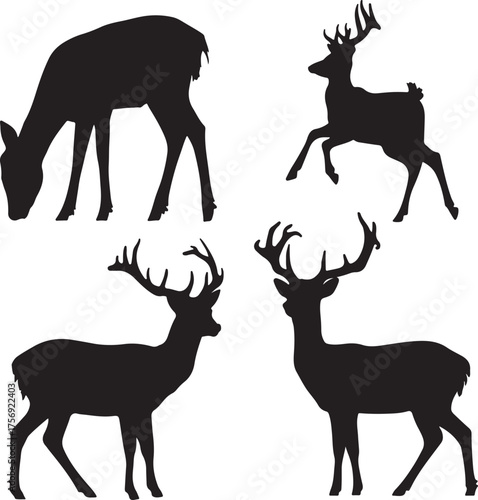 Four Black Silhouettes of Deer Including Stags with Antlers on White Background animal wildlife
