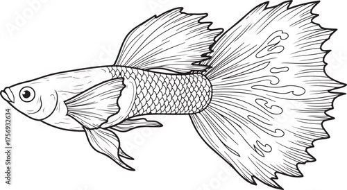 Detailed Line Art Illustration of a Graceful Tropical Guppy Fish