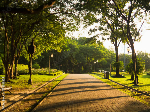  A serene park path bathed in warm sunlight.