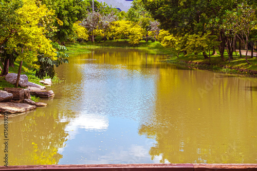 A serene pond surrounded by lush green and yellow trees.