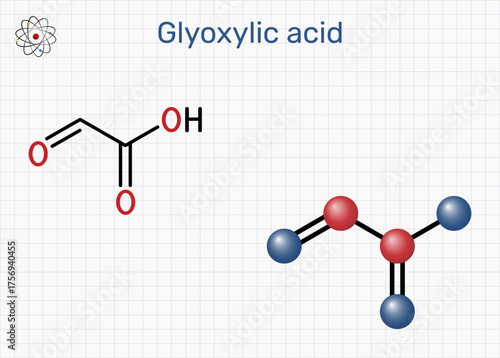 Glyoxylic acid molecule. Synthesis of hydroxyphenylglycine and amoxicillin precursor; hair straightening cosmetic chemistry; glyoxylate cycle metabolism. Vector illustration