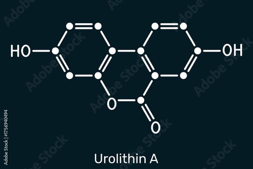 Urolithin A molecule. Nutraceuticals, sports recovery. Dark blue background. Vector illustration