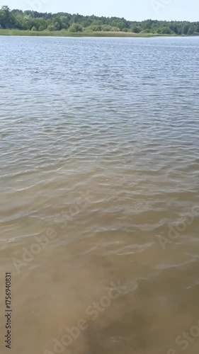 A surface of water with ripples. A quiet and peaceful pond. A light breeze.