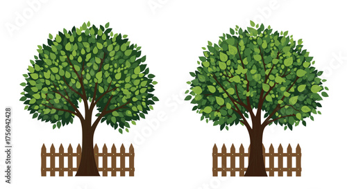 Two lush green trees stand tall behind small wooden fences.