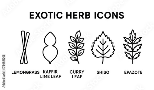 Vector Exotic herb icons: lemongrass, kaffir lime, curry leaf, shiso, epazote illustrations