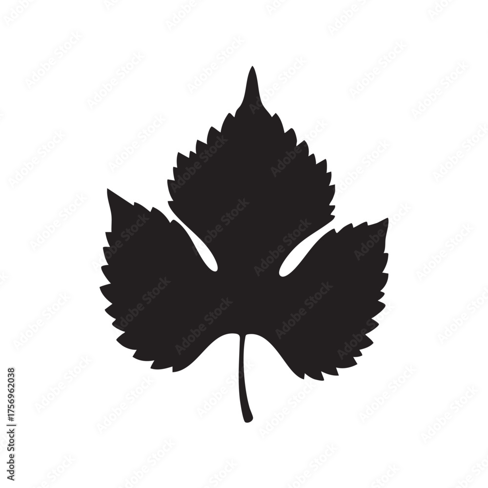 Obraz premium Black silhouette of a grape leaf isolated on a white background organic plant element