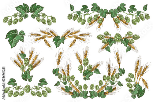 Hop and malt elements for beer branding
