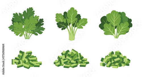 Fresh leafy greens including cilantro and chopped vegetables for culinary use.