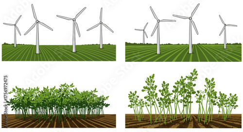 Wind Turbines and Green Crops in Agricultural Fields.
