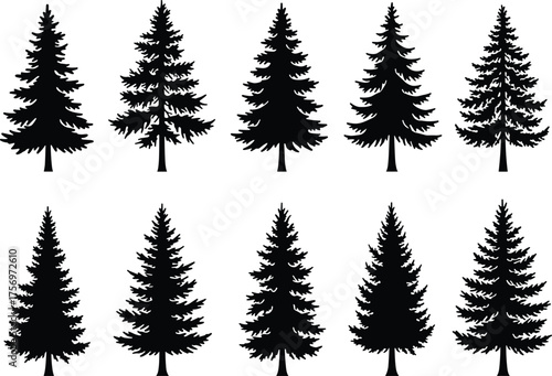 Fir and pine tree silhouettes vector set, evergreen forest design elements, conifer collection, natural woodland black clipart illustration
