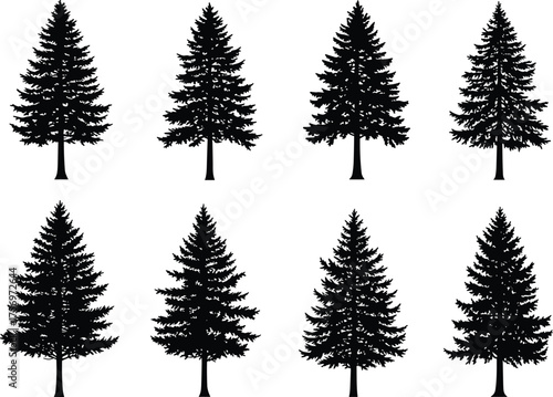 Pine tree silhouette vector pack, evergreen forest design, coniferous trees collection, natural woodland illustration, black nature clipart set