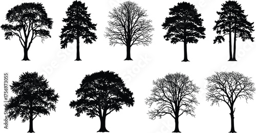 Deciduous tree silhouettes collection, oak and maple shapes, leafless and summer foliage vector design, forest nature clipart set, landscape art