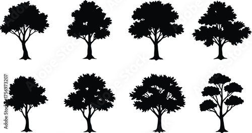 Black deciduous tree silhouettes, vector illustration set, summer forest elements, nature landscape design, leafy oak and maple tree clipart