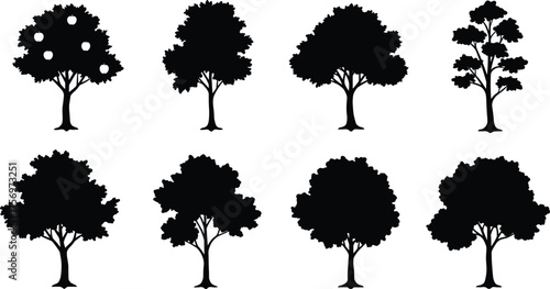 Black deciduous tree silhouettes, nature vector collection, summer forest design elements, oak and apple tree shapes, landscape illustration clipart
