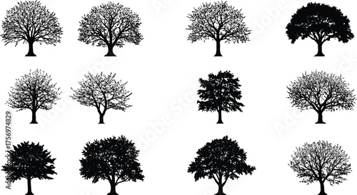 Collection of realistic deciduous tree silhouettes, detailed black vector forest design, natural foliage and woodland illustration for landscape art