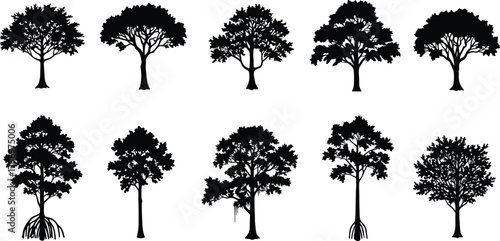 Collection of realistic tropical and mangrove tree silhouettes, forest vector illustration, black acacia and savanna tree design elements