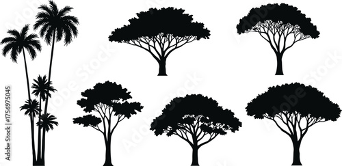 Collection of tropical and acacia tree silhouettes, African savanna forest vector set, palm and umbrella tree design illustration