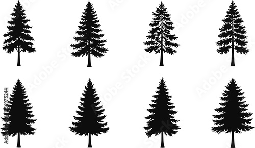 Collection of pine tree silhouettes, evergreen forest vector set, conifer tree shapes for nature design, landscape and environment illustration