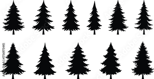 Pine and fir tree silhouettes collection, evergreen forest vector set, conifer tree shapes for nature design, winter landscape illustration art