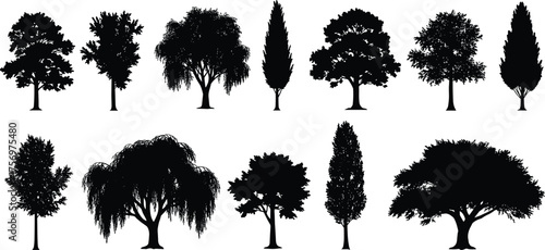 Realistic deciduous tree silhouettes collection, natural forest plant vector set, black tree shapes for landscape, nature illustration and design art