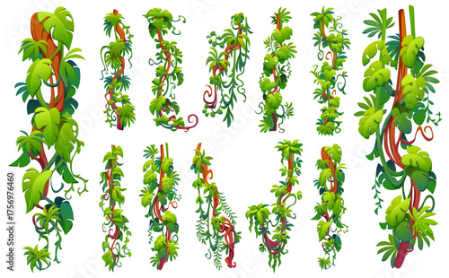 Vertical tropical jungle rain forest liana vine branches, vector frame lines, borders and dividers. Cartoon jungle lianas with tropical trees green leaves, rainforest creeper plants branches and vines