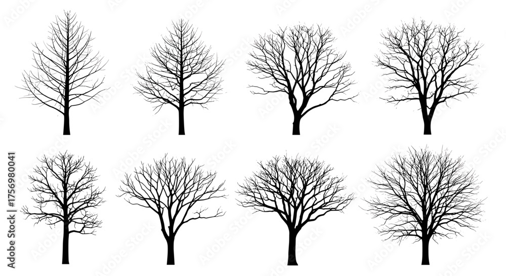 Obraz premium Collection of eight bare deciduous trees in winter season showcasing intricate branch structures.