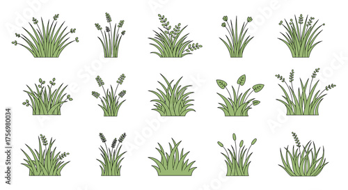 A collection of various green plants and grasses in a simple illustration style.